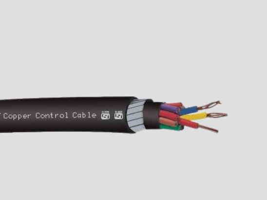 control cables 2 (2)